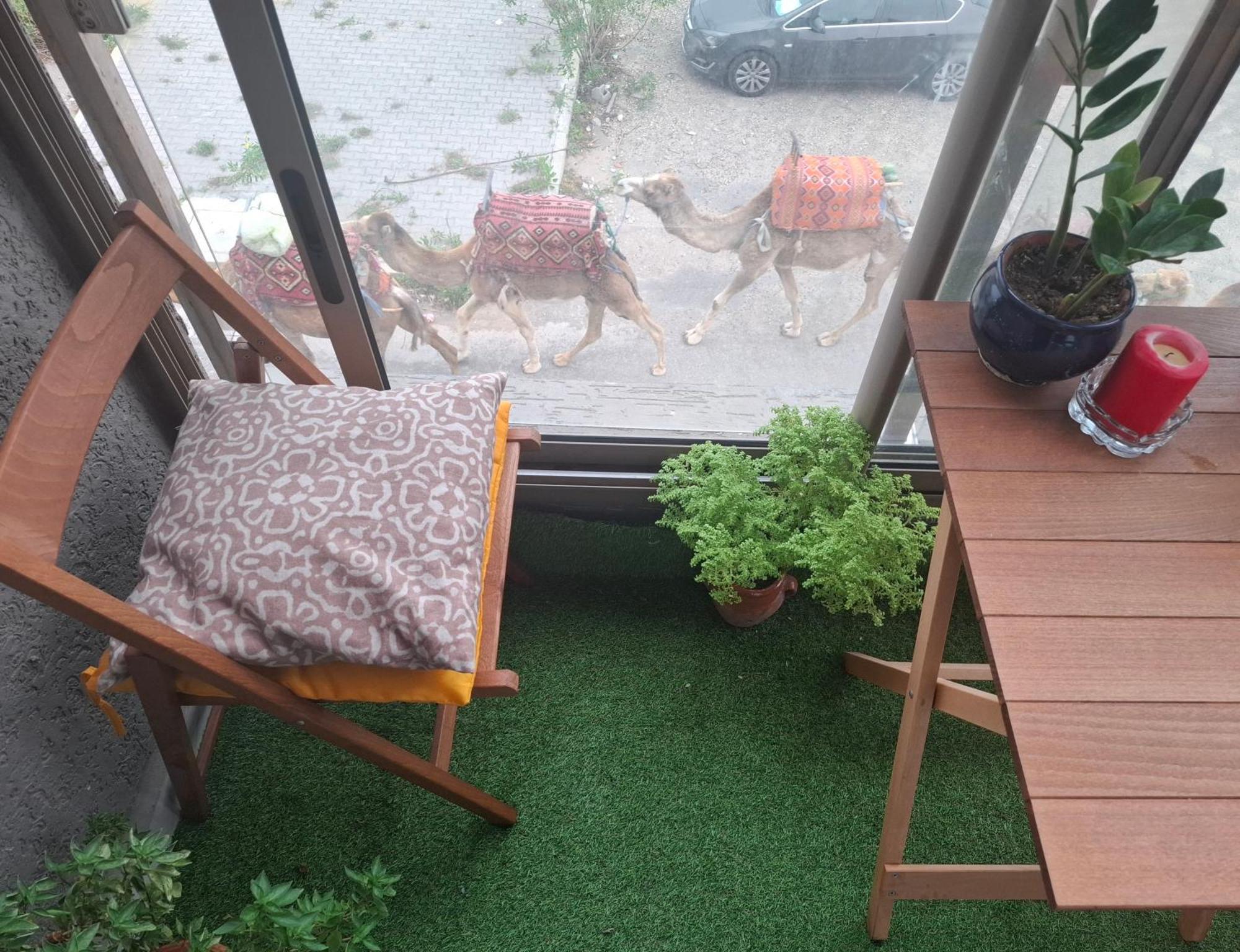 Azur Appartement Essaouira Bagian luar foto